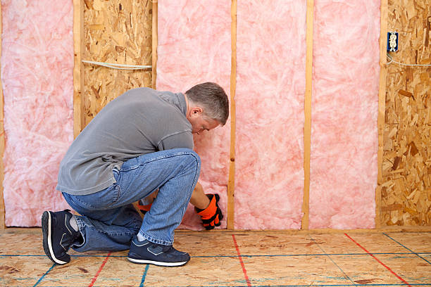 Professional Insulation Contractor in Westchase, FL