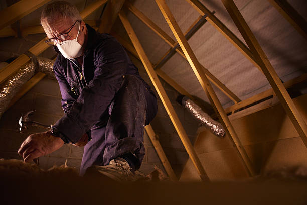 Best Insulation Maintenance and Repair in Westchase, FL